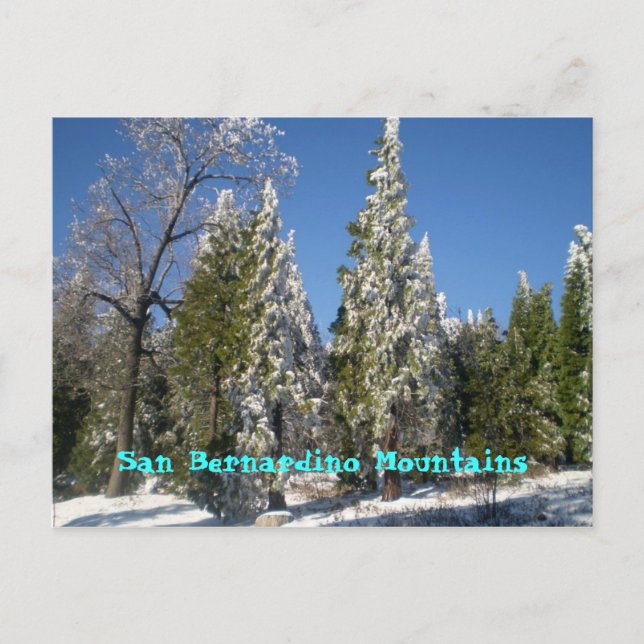 San Bernardino Mountains Postcard (Front)