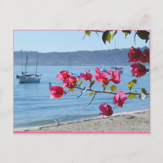 san diego beach postcard