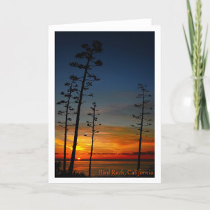 SAN DIEGO Bird Rock sunset agave trees Letterpress Thank You Card