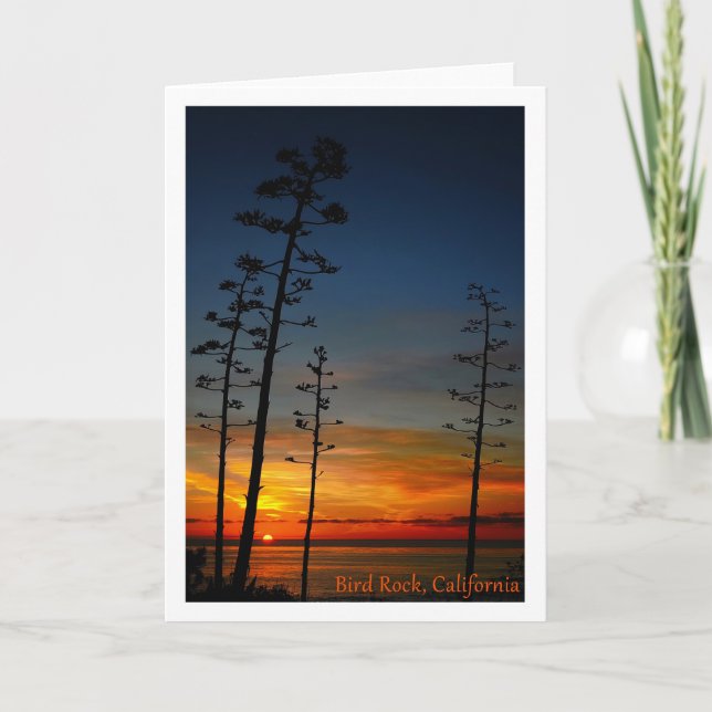 SAN DIEGO Bird Rock sunset agave trees Thank You Card (Front)