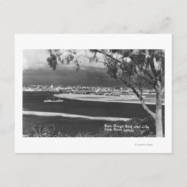 San Diego, CA Bay and City from Point Loma Postcard (Front)