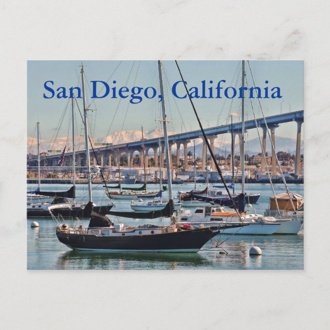 San Diego, California Postcard (Front)