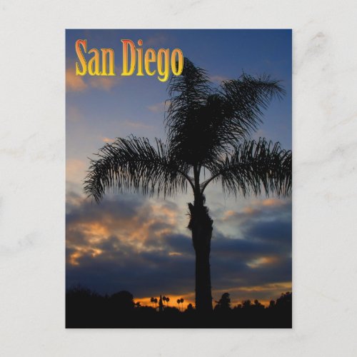 San Diego Palm Tree Sunset Postcard