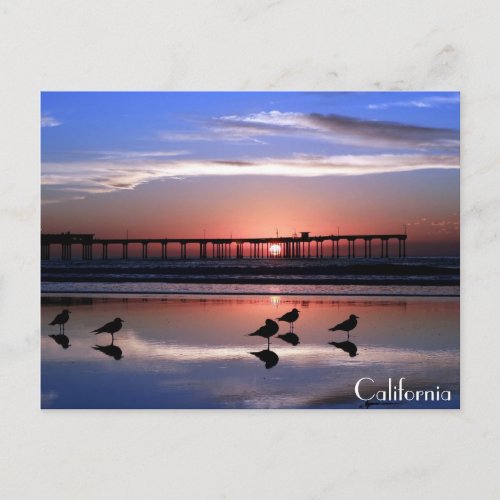 San Diego Pier at Sunset Postcard