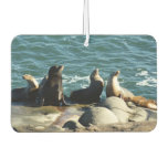 San Diego Sea Lions Air Freshener