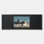 San Diego Sea Lions Bar Mat