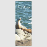 San Diego Sea Lions Bookmarks