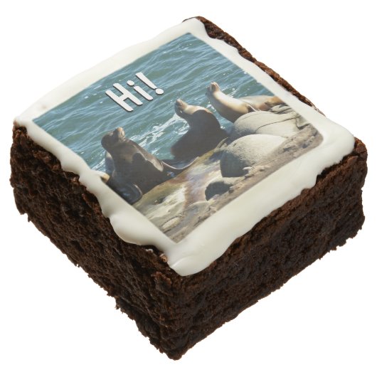 San Diego Sea Lions Brownie (Angled)