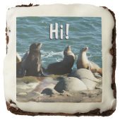San Diego Sea Lions Brownie (Front)