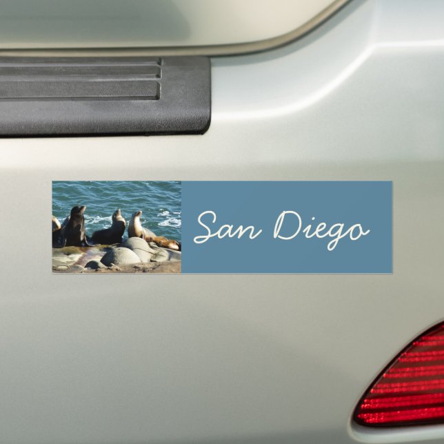 San Diego Sea Lions Bumper Sticker (On Car)