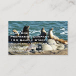 San Diego Sea Lions Business Card