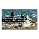 San Diego Sea Lions Business Card Magnet