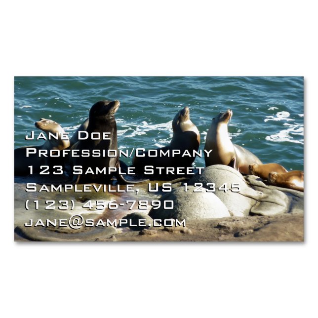San Diego Sea Lions Business Card Magnet (Front)