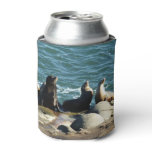 San Diego Sea Lions Can Cooler