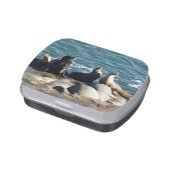 San Diego Sea Lions Candy Tin (Side)