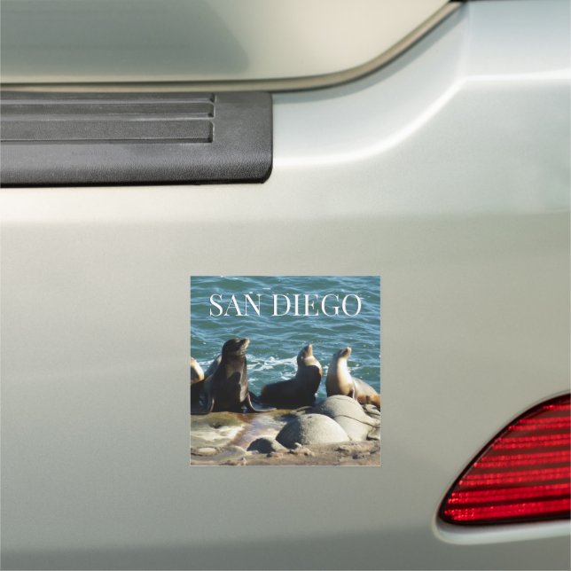 San Diego Sea Lions Car Magnet (In Situ)