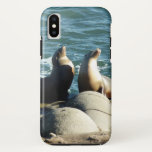 San Diego Sea Lions iPhone X Case