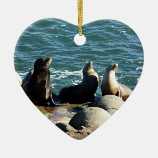 San Diego Sea Lions Ceramic Ornament (Front)