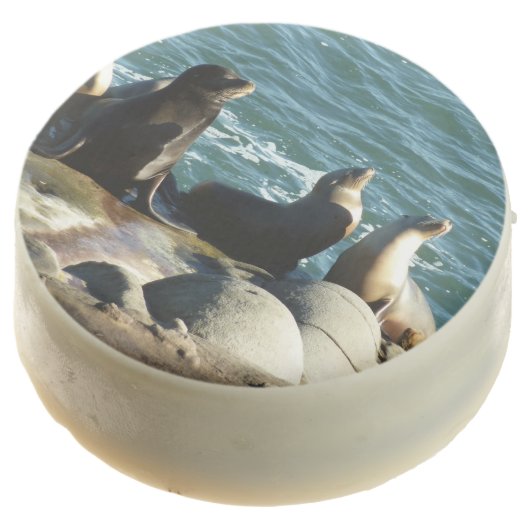 San Diego Sea Lions Chocolate Covered Oreo (Angled)