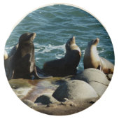 San Diego Sea Lions Chocolate Covered Oreo (Front)