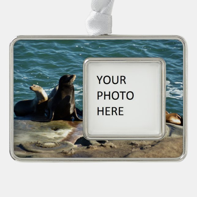 San Diego Sea Lions Christmas Ornament (Front)