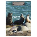 San Diego Sea Lions Clipboard