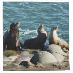 San Diego Sea Lions Cloth Napkin