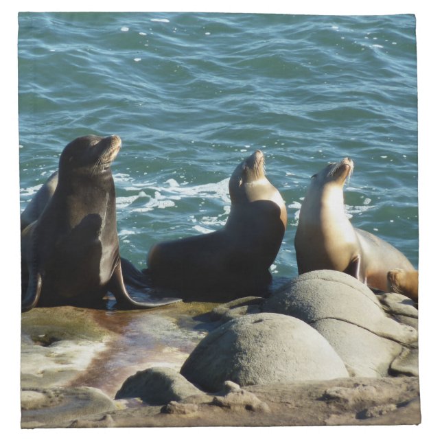 San Diego Sea Lions Cloth Napkin (Front)