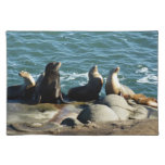 San Diego Sea Lions Cloth Placemat