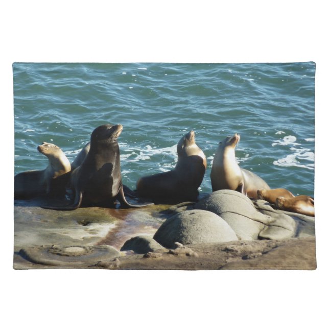 San Diego Sea Lions Cloth Placemat (Front)