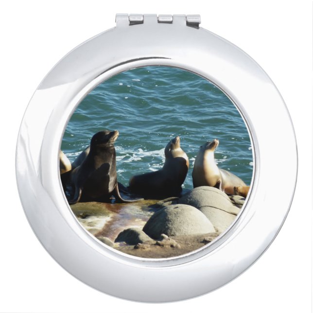 San Diego Sea Lions Compact Mirror (Front)