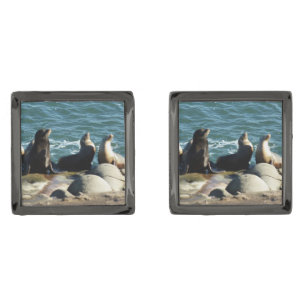 San Diego Sea Lions Cufflinks