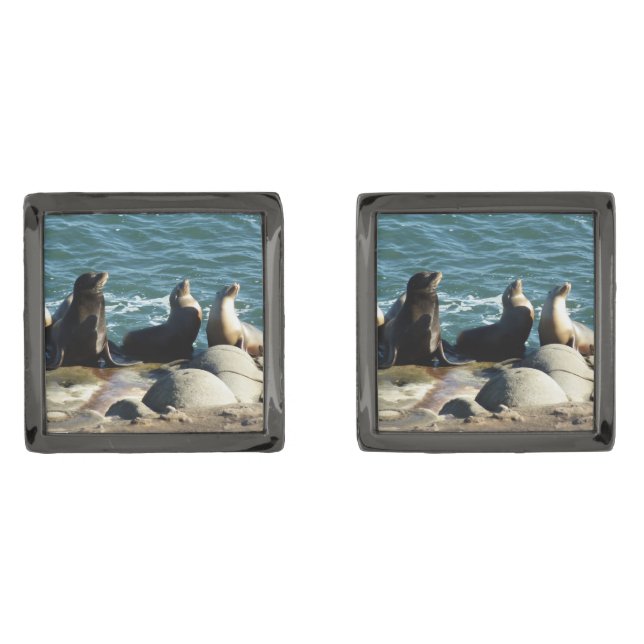 San Diego Sea Lions Cufflinks (Front)