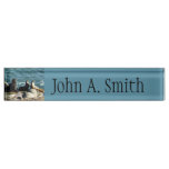 San Diego Sea Lions Desk Name Plate