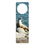 San Diego Sea Lions Door Hanger