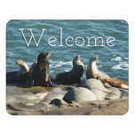 San Diego Sea Lions Door Sign