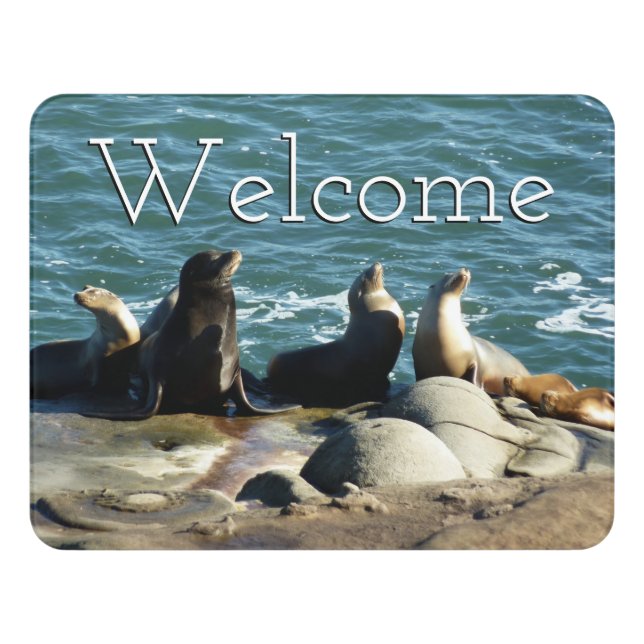San Diego Sea Lions Door Sign (Contemporary Front)