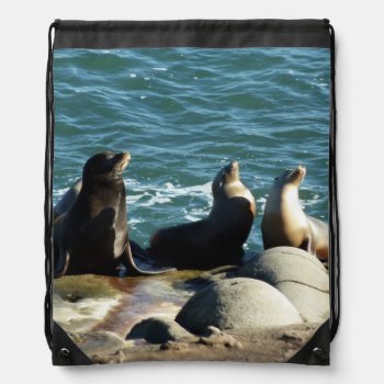 San Diego Sea Lions Drawstring Bag by mlewallpapers at Zazzle
