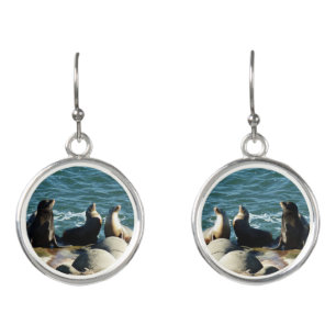 San Diego Sea Lions Earrings