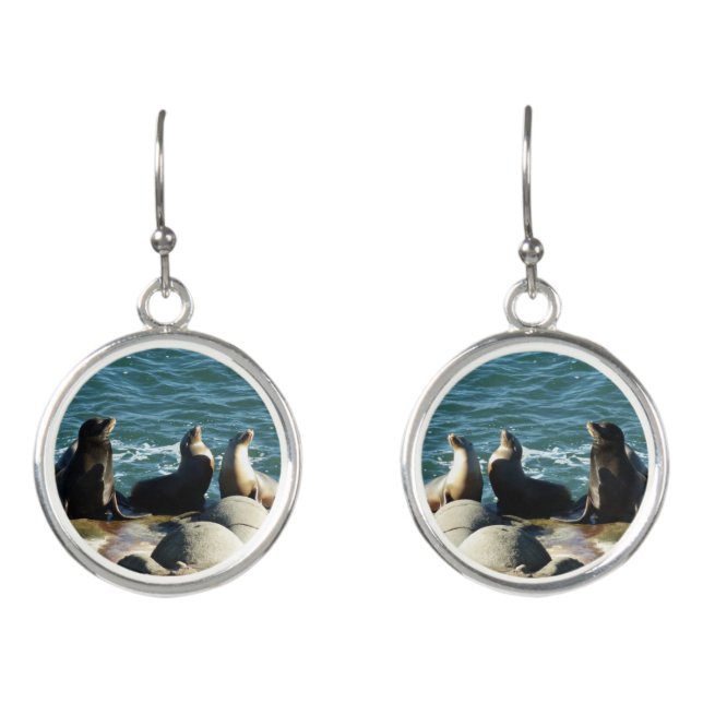 San Diego Sea Lions Earrings (Front)