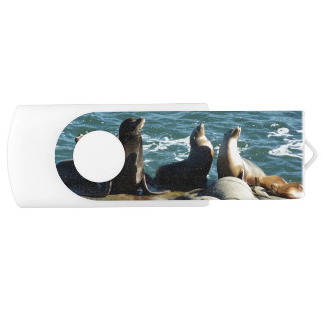 San Diego Sea Lions Flash Drive (Front)