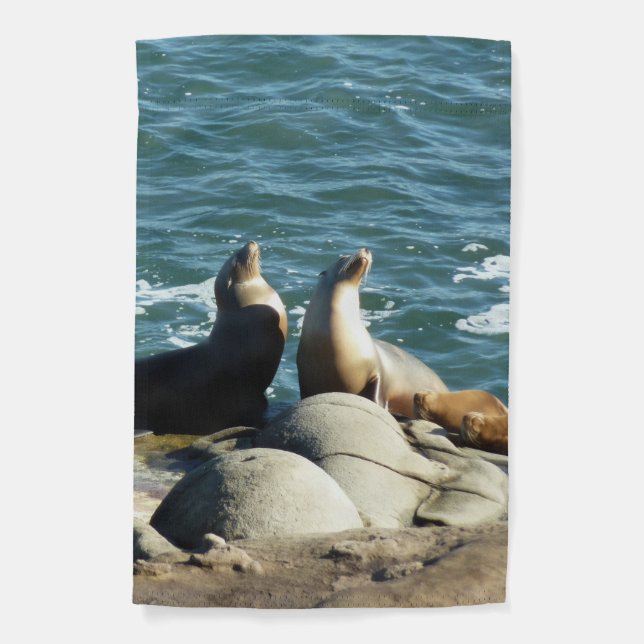 San Diego Sea Lions Garden Flag (Front)