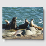 San Diego Sea Lions Guest Book