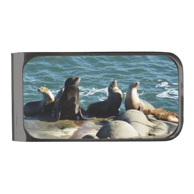 San Diego Sea Lions Gunmetal Finish Money Clip (Front)