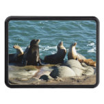 San Diego Sea Lions Hitch Cover