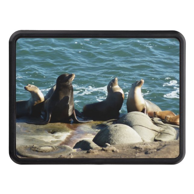San Diego Sea Lions Hitch Cover (Front)