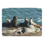 San Diego Sea Lions iPad Pro Cover