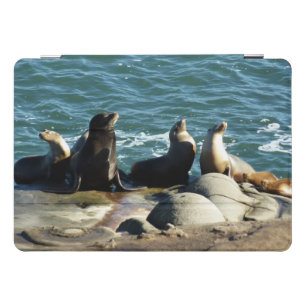 San Diego Sea Lions iPad Pro Cover