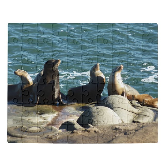 San Diego Sea Lions Jigsaw Puzzle (Puzzle Horizontal)