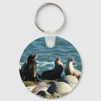 San Diego Sea Lions Keychain